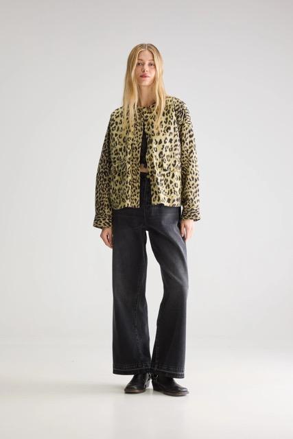 Bellerose - Willie