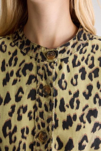 Bellerose - Willie