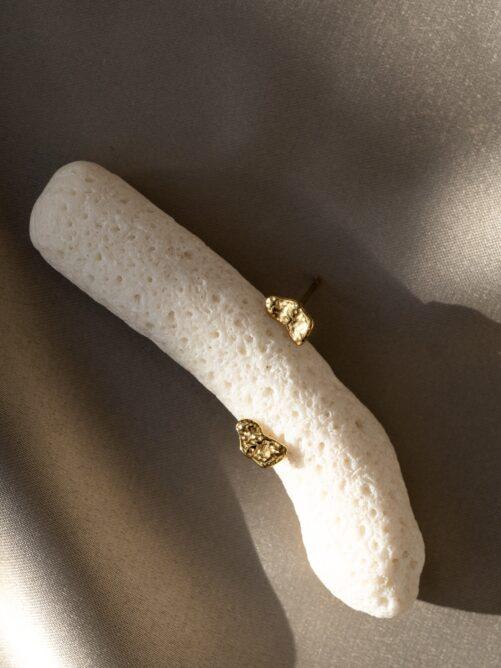 Ellen Beekmans - Gehamerde organische oorstekers