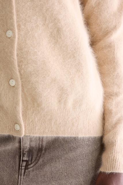 Bellerose - Dathan