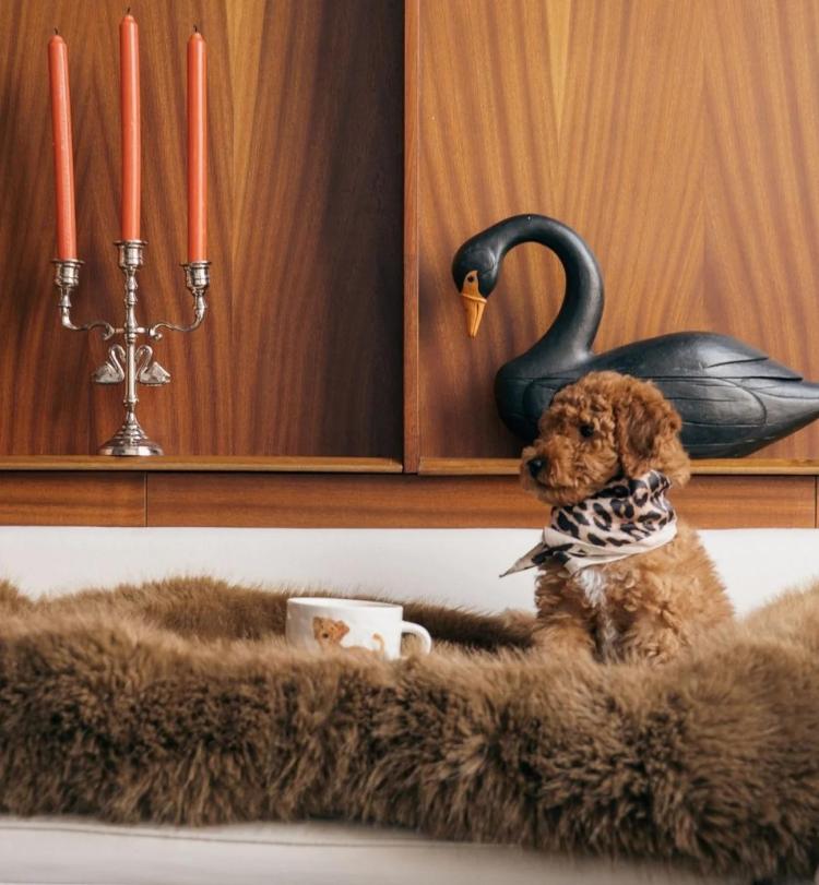 Anna+Nina - Labradoodle mug