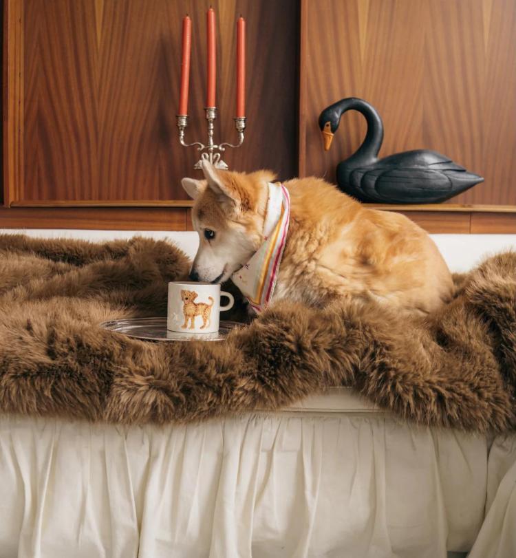 Anna+Nina - Labradoodle mug