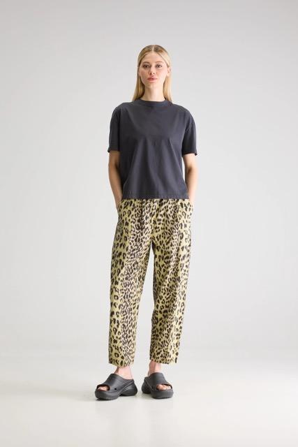 Bellerose - Wesly