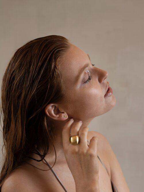 Ellen Beekmans - Gehamerde organische oorstekers