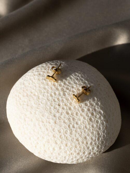 Ellen Beekmans - Gehamerde organische oorstekers