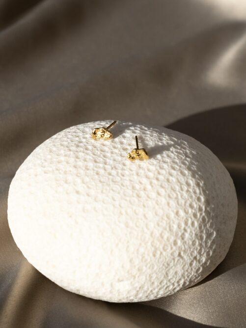 Ellen Beekmans - Gehamerde organische oorstekers