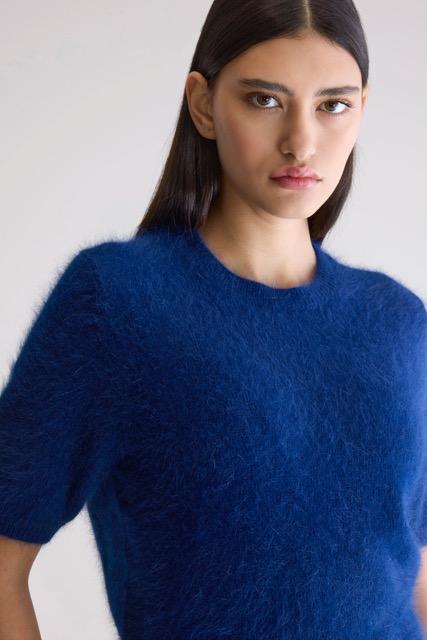 Bellerose - Datad