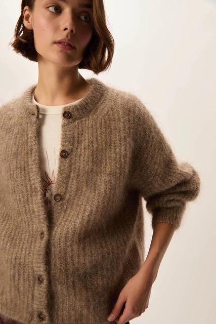 Des Petits Hauts - Alma