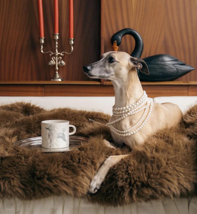 Anna Nina - Poodle mug