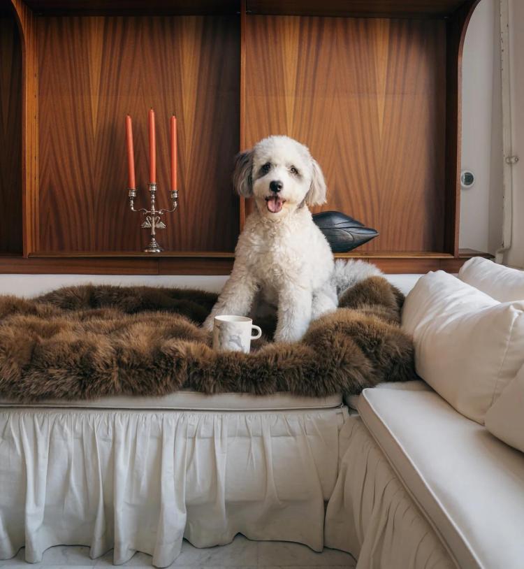 Anna Nina - Poodle mug