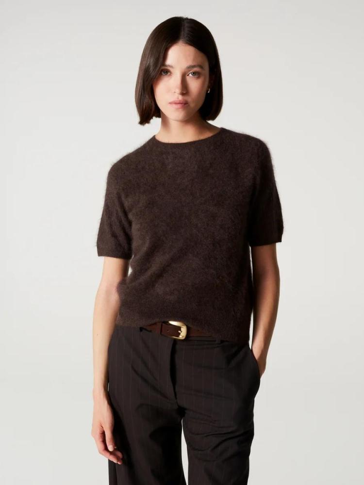 Absolut cashmere - Amaya