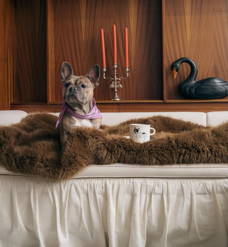 Anna+Nina - Bulldog tea mug
